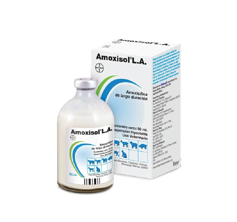 AMOXISOL LA * 100 ML