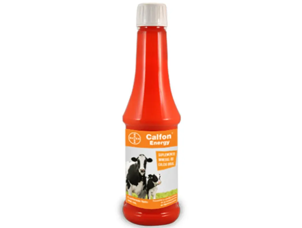 CALFON ENERGY ORAL  * 350 ML