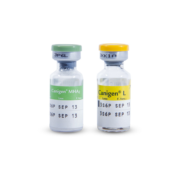 CANIGEN MHA 2/L (TRIPLE)