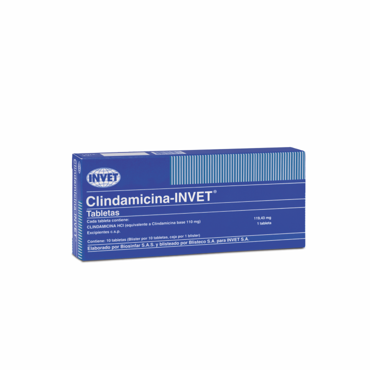 CLINDAMICINA INVET CAJA * 10TABS
