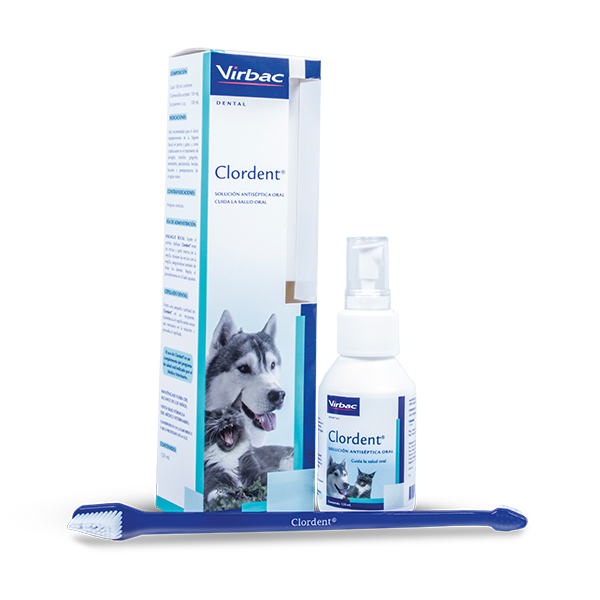 CLORDENT SPRAY * 120 ML