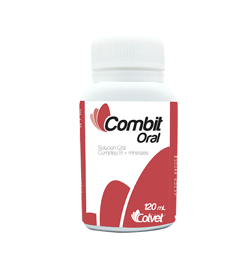 COMBIT ORAL * 120 ML