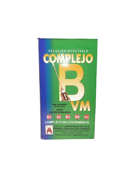 COMPLEJO B VM INY * 500 ML