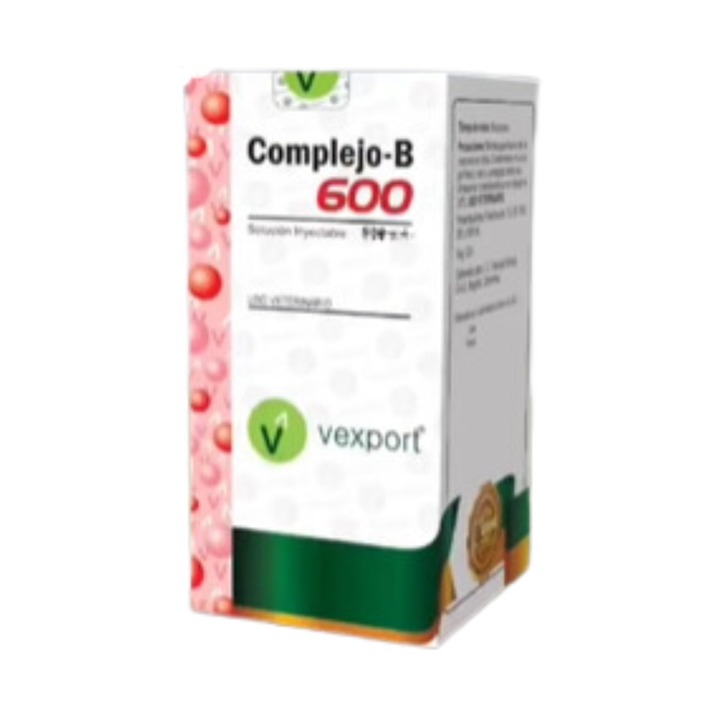 COMPLEJO B-600 VEXPORT * 100 ML