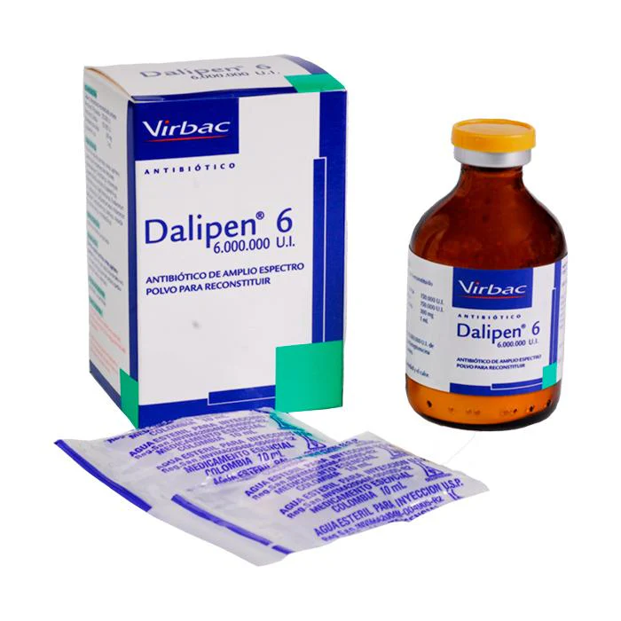 DALIPEN * 6000.000 U.I