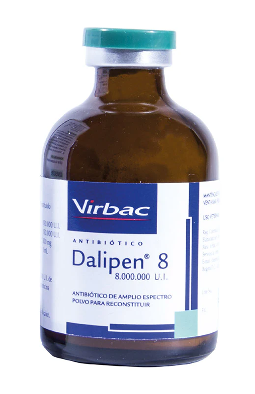 DALIPEN * 8000.000 U.I