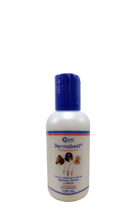 DERMOBEST CHAMPU MEDICADO FCO * 120 ML