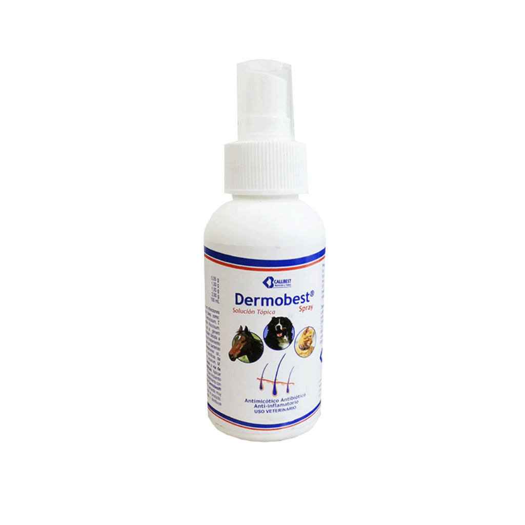 DERMOBEST SPRAY FCO * 60 ML