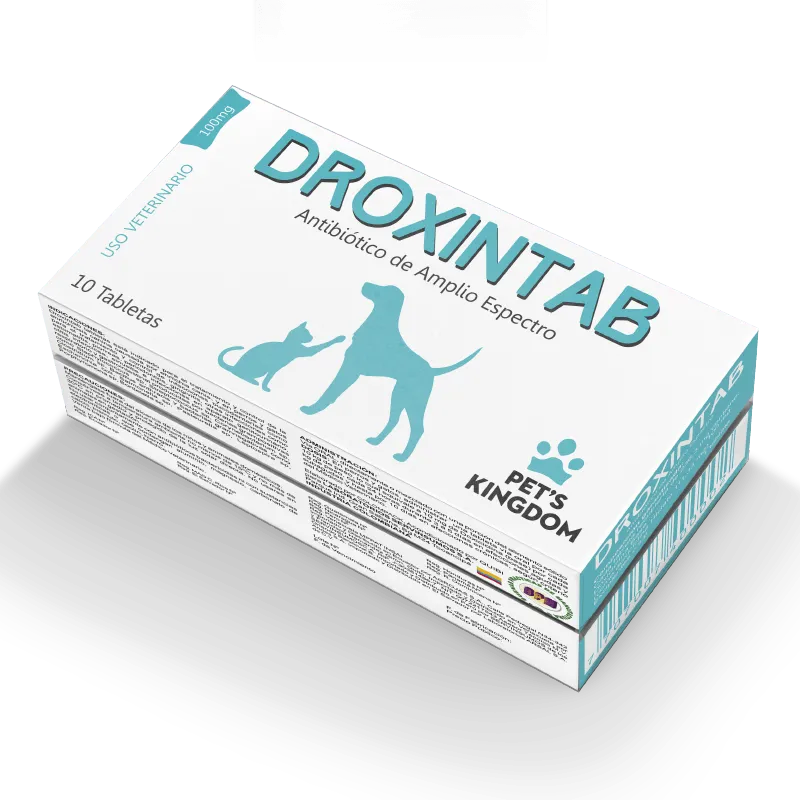 DROXINTAB 100 MG CAJA 10 TABS