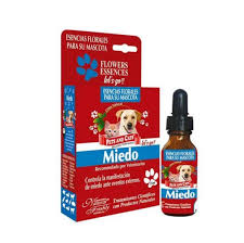 ESENCIA MIEDO LETS GO * 25 ML