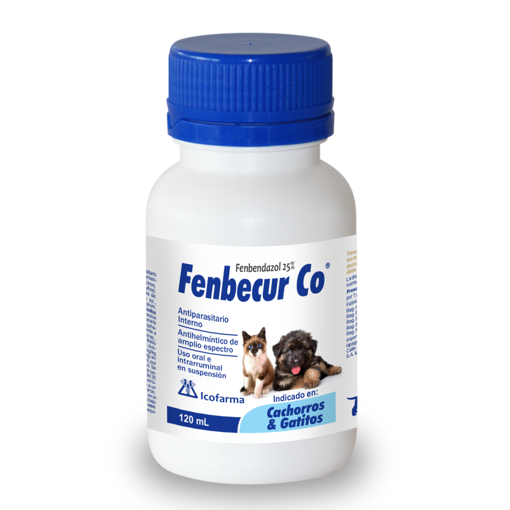 FENBECUR CO CACHORROS * 120 ML