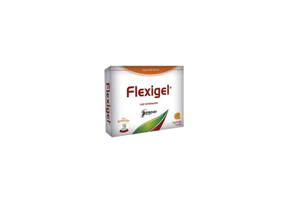 FLEXIGEL CAJA * 10 UND