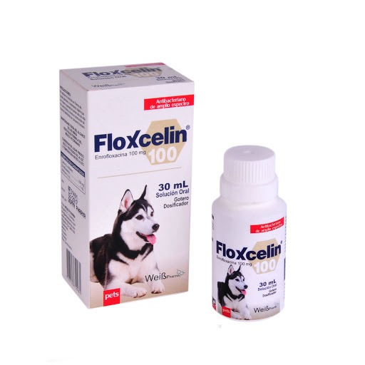 FLOXCELIN ORAL * 30 ML