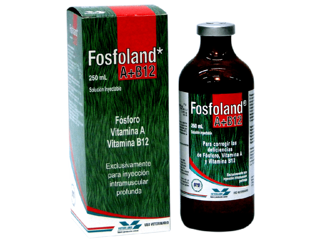 FOSFOLAND * 250 ML