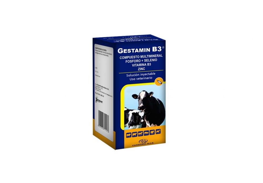 GESTAMIN B3 * 50 ML