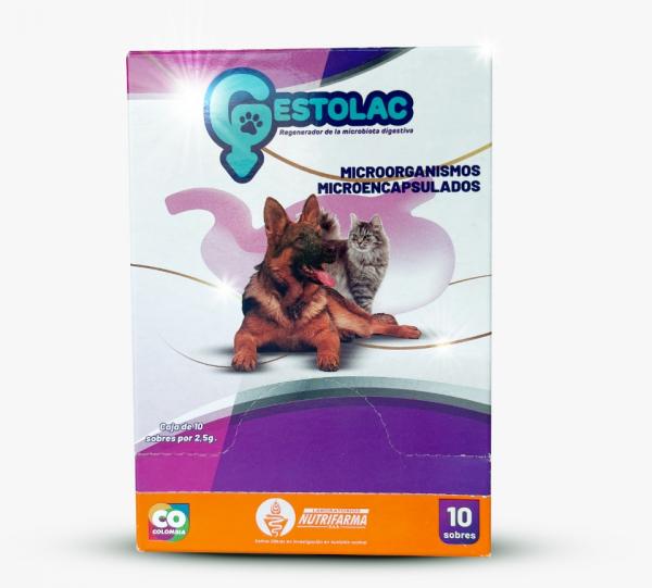 GESTOLAC CJA * 10 SOBRES