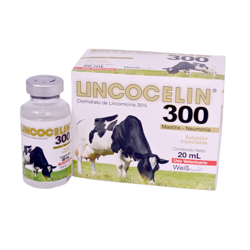 LINCOCELIN * 20 ML