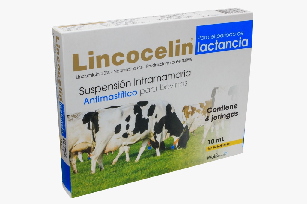 LINCOCELIN LACTANCIA * 10 ML CJA * 4 JGAS