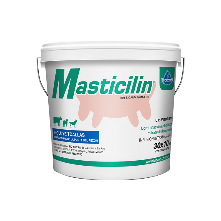 MASTICILIN JGA * 10 ML