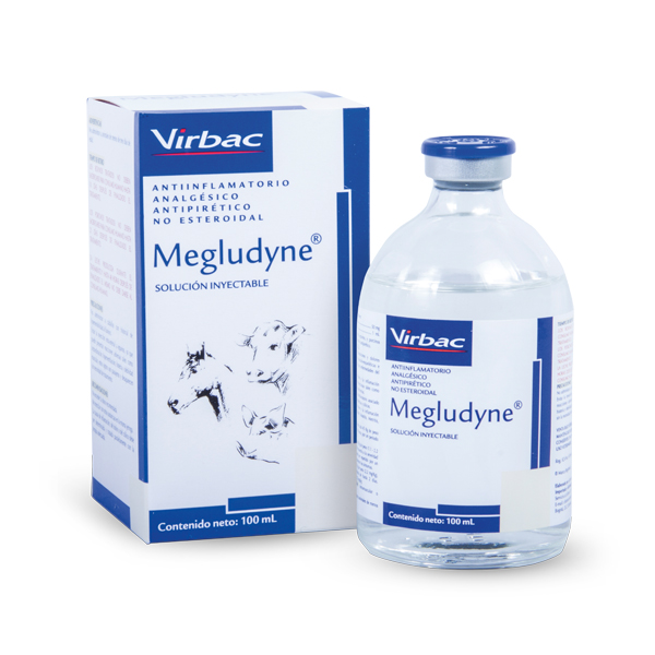 MEGLUDYNE * 100ML