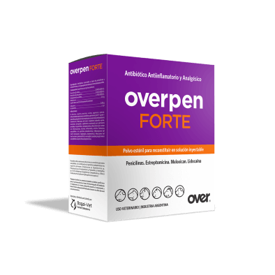 OVERPEN FORTE