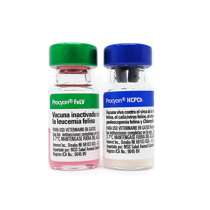 PROCYON HCPCH+FELV * 1 DS (TRIPLE FELINA + LEUCEMIA)+ 1 DOSIS