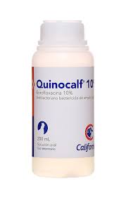 QUINOCALF 10 % ORAL * 200 ML