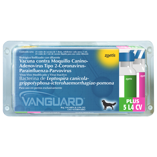 VANGUARD PLUS 5 L4 PENTAVALENTE* 1 ML