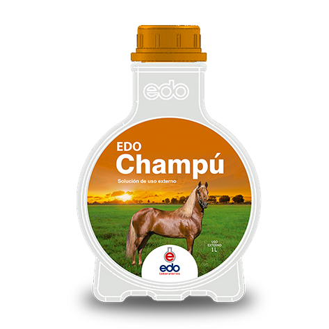 CHAMPU EDO* 1000 ML