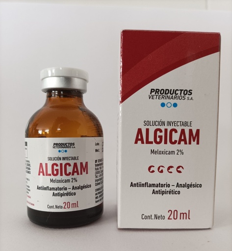 [2898] ALGICAM INY * 20 ML