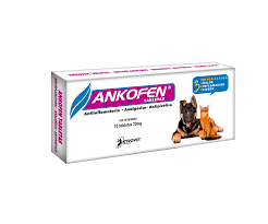 [4070] ANKOFEN TABLETAS BLISTER * 10 UND