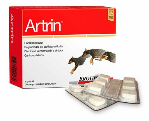 [4093] ARTRIN BROUWER * 30