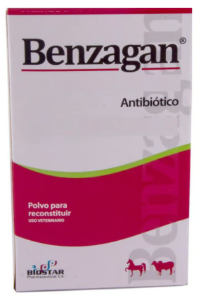 [11] BENZAGAN FCO * 6000.000 UI