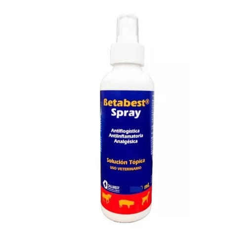 [2825] BETABEST SPRAY FCO * 220  ML