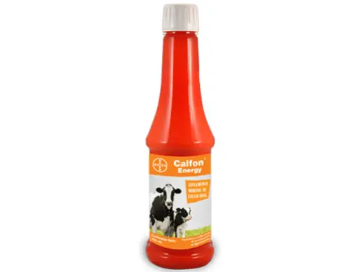 [4050] CALFON ENERGY ORAL  * 350 ML