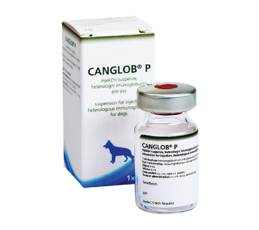 [4213] CANGLOB P VIAL * 6 ML