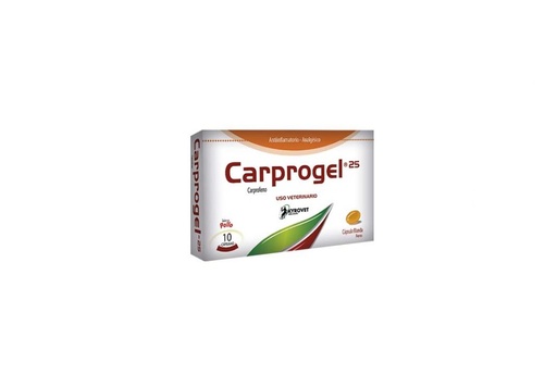[4073] CARPROGEL* 25 MG CJA 10 TAB