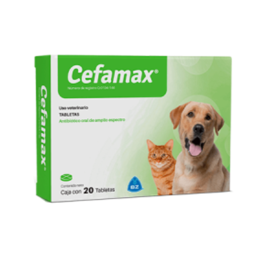 [2022] CEFAMAX BLISTER * 10 TABS