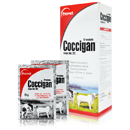 [1029] COCCIGAN SOBRE * 25 GR