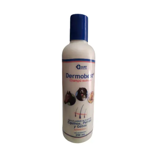 [2834] DERMOBEST CHAMPU MEDICADO FCO * 250 ML