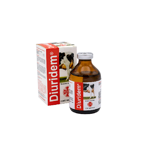 [1270] DIURIDEM * 20 ML