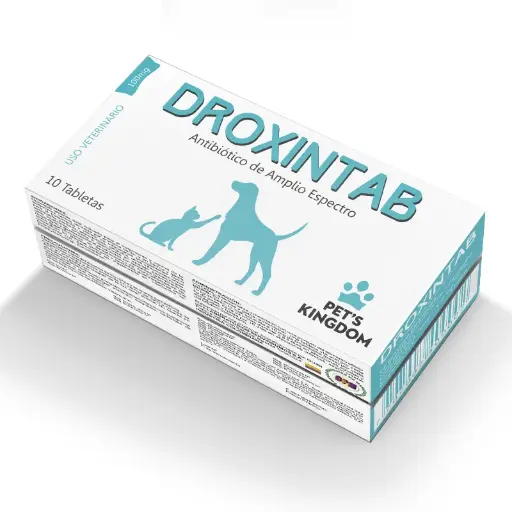 [1121] DROXINTAB 100 MG CAJA 10 TABS