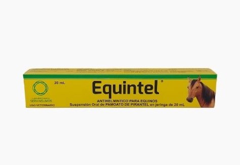 [1122] EQUINTEL JERINGA 20 ML