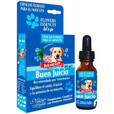 [4127] ESENCIA BUEN JUICIO FCO * 25 ML