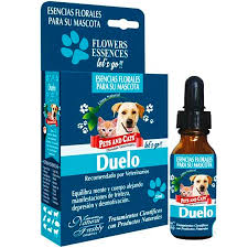 [4160] ESENCIA DUELO LETS GO * 25 ML