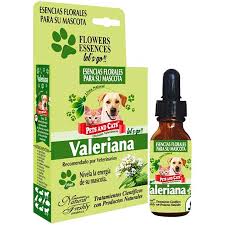 [4163] ESENCIA VALERIANA LETS GO *25 ML