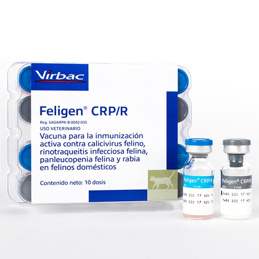 [2509] FELIGEN CRP + RABIA