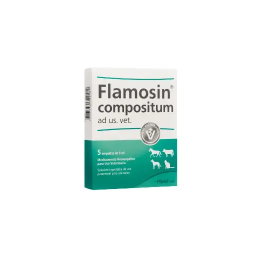 [1933] FLAMOSIN COMP. AD US VET CAJA * 5 AMP