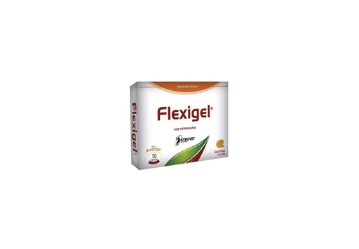 [4118] FLEXIGEL CAJA * 10 UND