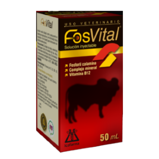 [2130] FOSVITAL FCO * 50 ML